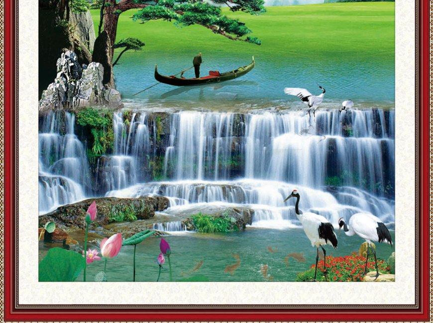 春雨直播app